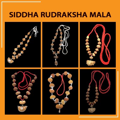 Rudraksha Siddha Mala