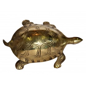 Tortoise In Brass