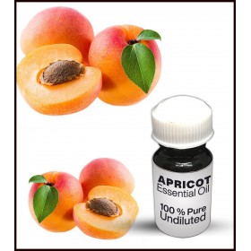 Apricot Essential Oil