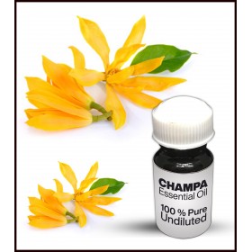 Champa Essential Oil