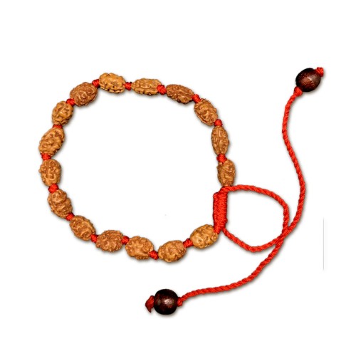 2 Mukhi Indonesian Thread Adjustable Bracelet