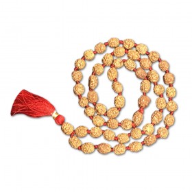 4 Mukhi Indonesian Rudraksha Mala 54 Beads (12mm-14mm)