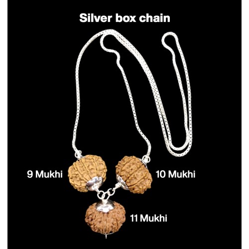 Rudraksha Combination for Total Protection 9,10,11 Mukhi Nepal in Silver Chain