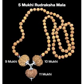 Rudraksha Combination for Total Protection 9,10,11 Mukhi Nepal in Rudraksha Mala
