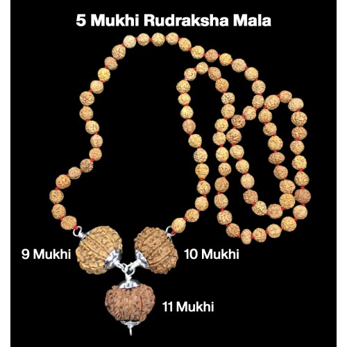 Rudraksha Combination for Total Protection 9,10,11 Mukhi Nepal in Rudraksha Mala