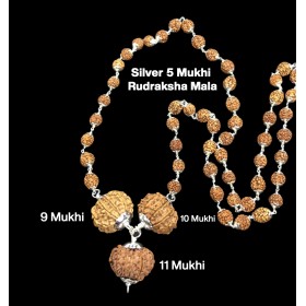 Rudraksha Combination for Total Protection 9,10,11 Mukhi Nepal in Silver Mala