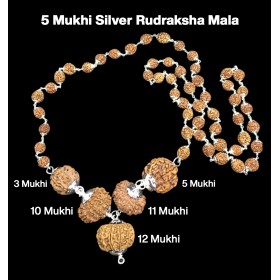 Rudraksha Combination for Navagraha Shanti 3,5,10,11,12 Mukhi Nepal in Silver Mala