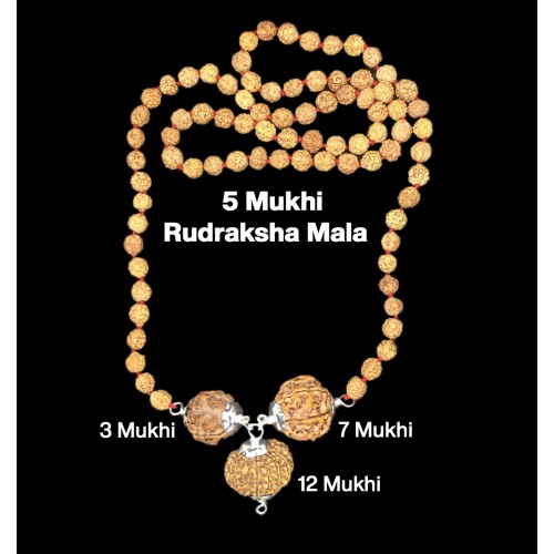 Rudraksha Combination for Career 3,7,12 Mukhi Nepal in Rudraksha Mala