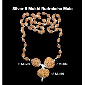 Rudraksha Combination for Career 3,7,12 Mukhi Nepal in Silver Mala