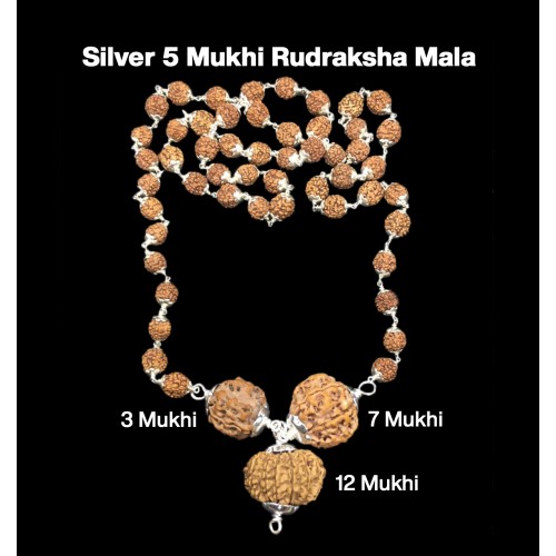Rudraksha Combination for Career 3,7,12 Mukhi Nepal in Silver Mala