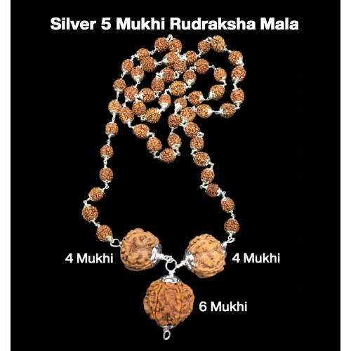 Rudraksha Combination for Students 4,4,6 Mukhi Nepal in Silver Mala