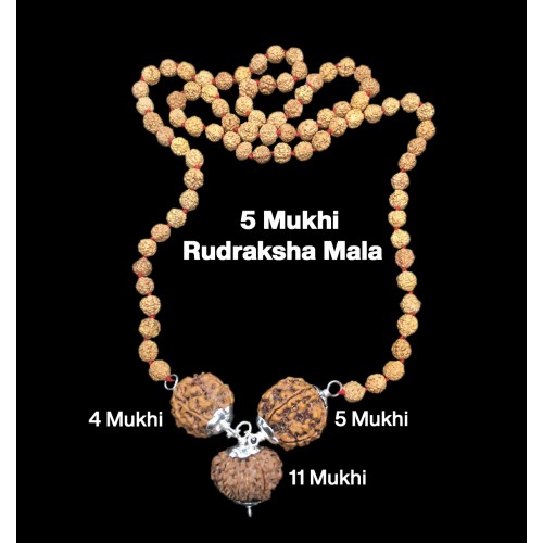 Rudraksha Combination for Wisdom 4,5,11 Mukhi Nepal in Rudraksha Mala