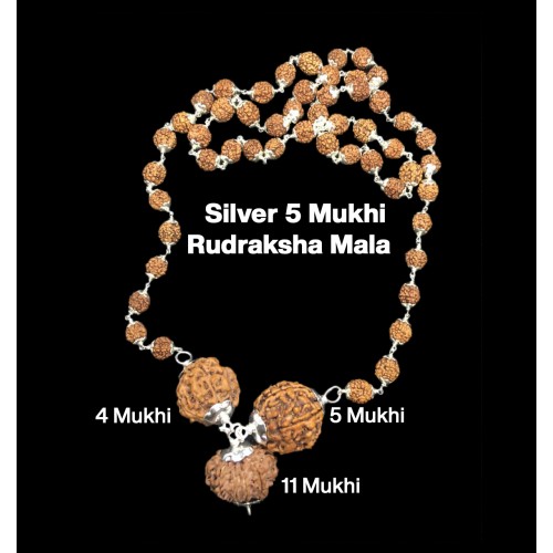 Rudraksha Combination for Wisdom 4,5,11 Mukhi Nepal in Silver Mala