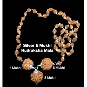 Rudraksha Combination for Advocates 4,6,8 Mukhi Nepal in Silver Mala