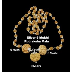 Rudraksha Combination for Females in Business 6,8,9 Mukhi Nepal in Silver Mala