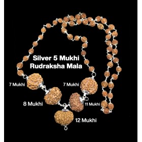 Rudraksha Combination for Business Power (Executives & Businessmen) 7,7,8,11,12 Mukhi Nepal in Silver Mala
