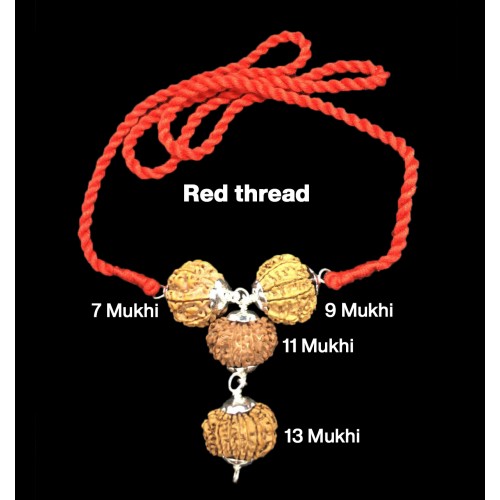 Rudraksha Combination for Wealth 7,9,11,13 Mukhi Nepal in Silver Pendant