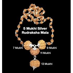 Rudraksha Combination for Wealth 7,9,11,13 Mukhi Nepal in Silver Mala