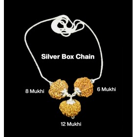 Rudraksha Combination for Business 6,8,12 Mukhi Nepal in Silver Chain